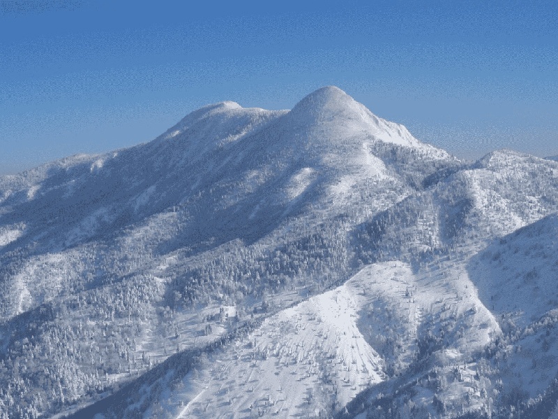 天津三代供卵例子,山东临沂做试管婴儿成功率最高的医院是哪里？如何选-天津