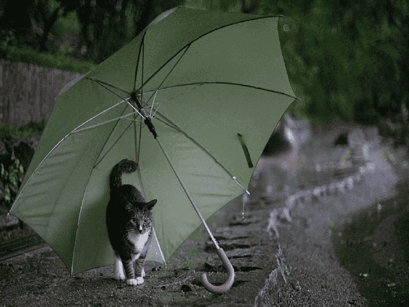 适合试管的中医针灸（试管 卵子不长大）——